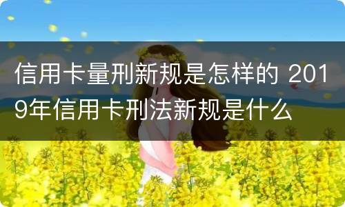 信用卡量刑新规是怎样的 2019年信用卡刑法新规是什么
