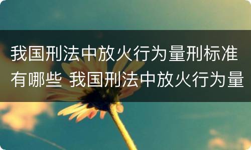 我国刑法中放火行为量刑标准有哪些 我国刑法中放火行为量刑标准有哪些内容