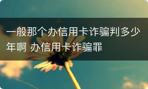 一般那个办信用卡诈骗判多少年啊 办信用卡诈骗罪