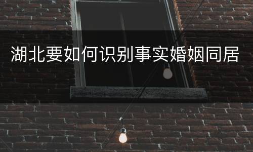 湖北要如何识别事实婚姻同居