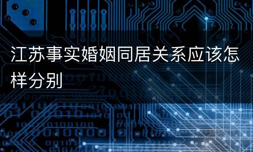 江苏事实婚姻同居关系应该怎样分别