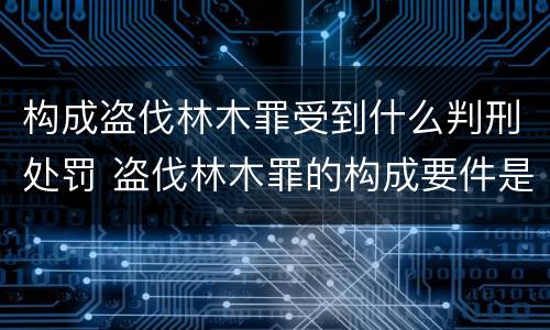构成盗伐林木罪受到什么判刑处罚 盗伐林木罪的构成要件是