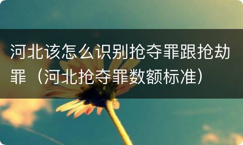 河北该怎么识别抢夺罪跟抢劫罪（河北抢夺罪数额标准）