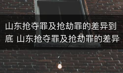 山东抢夺罪及抢劫罪的差异到底 山东抢夺罪及抢劫罪的差异到底是什么?