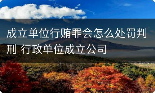 成立单位行贿罪会怎么处罚判刑 行政单位成立公司