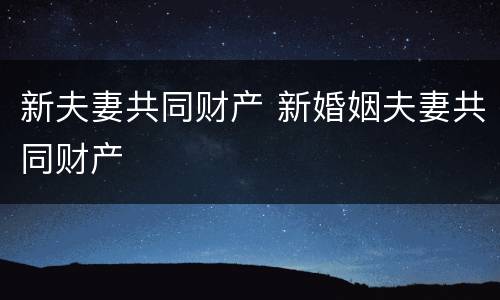 新夫妻共同财产 新婚姻夫妻共同财产