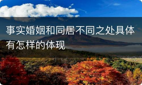 事实婚姻和同居不同之处具体有怎样的体现