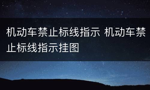 机动车禁止标线指示 机动车禁止标线指示挂图