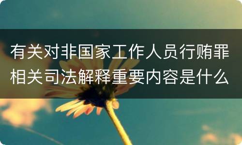 有关对非国家工作人员行贿罪相关司法解释重要内容是什么