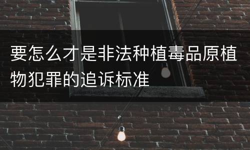 要怎么才是非法种植毒品原植物犯罪的追诉标准
