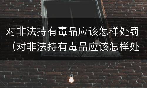 对非法持有毒品应该怎样处罚（对非法持有毒品应该怎样处罚呢）