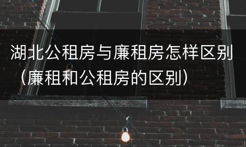 湖北公租房与廉租房怎样区别（廉租和公租房的区别）
