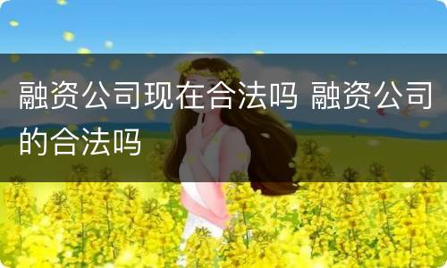 融资公司现在合法吗 融资公司的合法吗