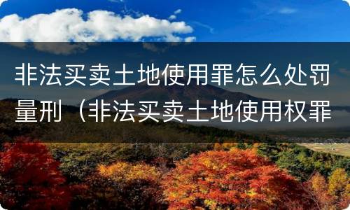非法买卖土地使用罪怎么处罚量刑（非法买卖土地使用权罪立案标准）