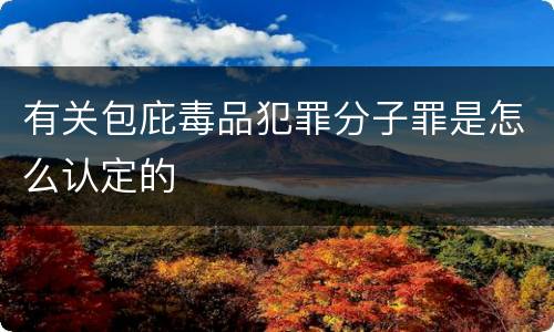 有关包庇毒品犯罪分子罪是怎么认定的