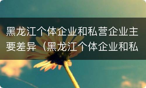黑龙江个体企业和私营企业主要差异（黑龙江个体企业和私营企业主要差异有哪些）