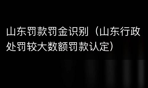 山东罚款罚金识别（山东行政处罚较大数额罚款认定）