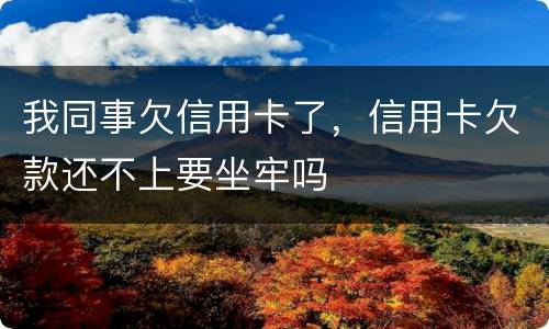 我同事欠信用卡了，信用卡欠款还不上要坐牢吗