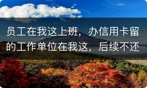 员工在我这上班，办信用卡留的工作单位在我这，后续不还款了银行找到我我会承担责任吗