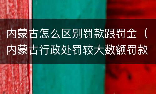 内蒙古怎么区别罚款跟罚金（内蒙古行政处罚较大数额罚款标准）