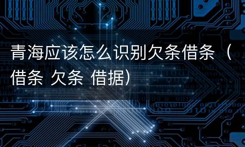 青海应该怎么识别欠条借条（借条 欠条 借据）