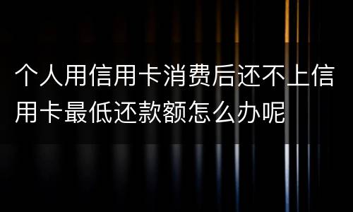 个人用信用卡消费后还不上信用卡最低还款额怎么办呢
