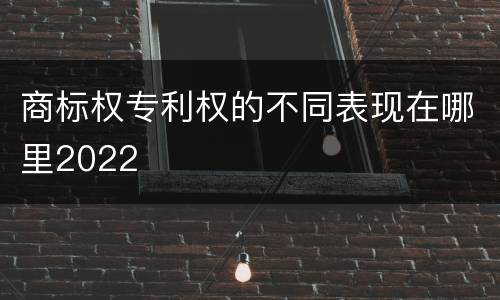 商标权专利权的不同表现在哪里2022