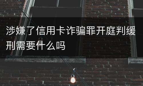 涉嫌了信用卡诈骗罪开庭判缓刑需要什么吗