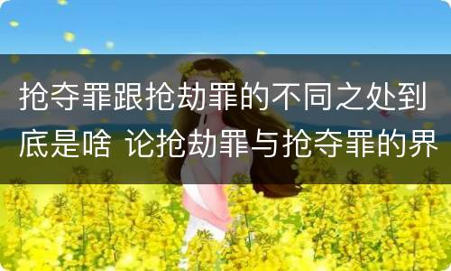 抢夺罪跟抢劫罪的不同之处到底是啥 论抢劫罪与抢夺罪的界限
