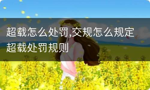 超载怎么处罚,交规怎么规定 超载处罚规则