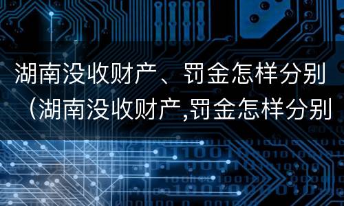 湖南没收财产、罚金怎样分别（湖南没收财产,罚金怎样分别缴纳）