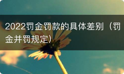 2022罚金罚款的具体差别（罚金并罚规定）
