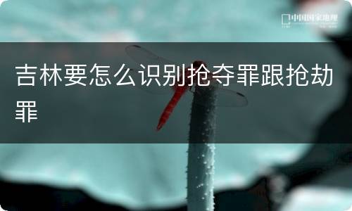 吉林要怎么识别抢夺罪跟抢劫罪