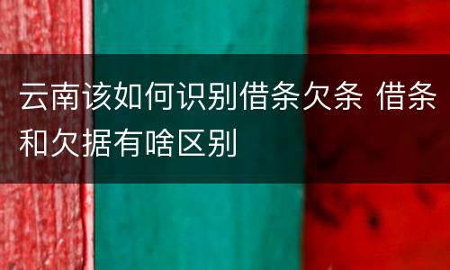 云南该如何识别借条欠条 借条和欠据有啥区别