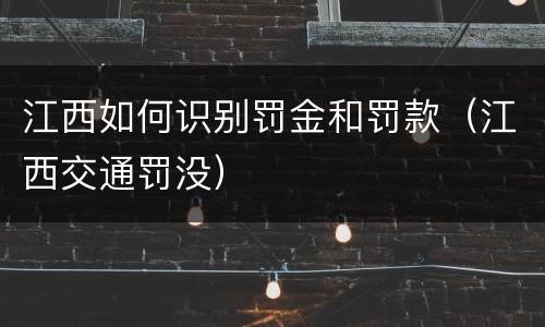 江西如何识别罚金和罚款（江西交通罚没）