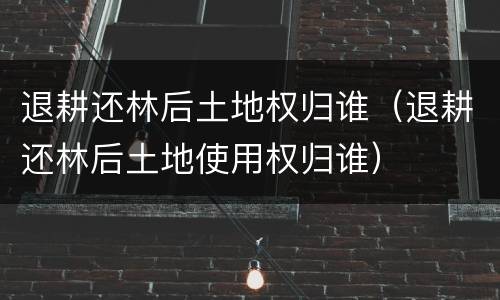 退耕还林后土地权归谁（退耕还林后土地使用权归谁）