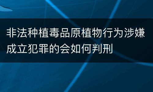 非法种植毒品原植物行为涉嫌成立犯罪的会如何判刑