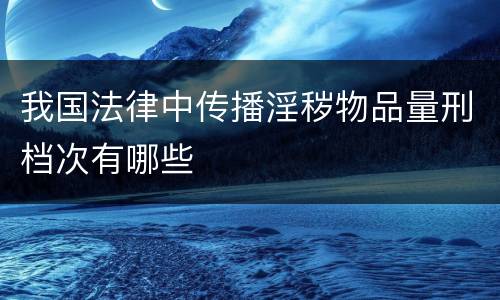 我国法律中传播淫秽物品量刑档次有哪些