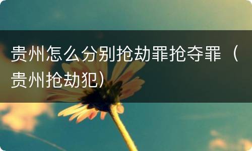 贵州怎么分别抢劫罪抢夺罪（贵州抢劫犯）
