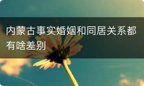 内蒙古事实婚姻和同居关系都有啥差别