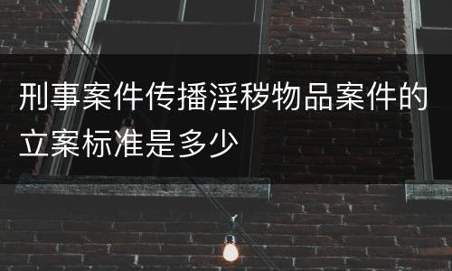 刑事案件传播淫秽物品案件的立案标准是多少