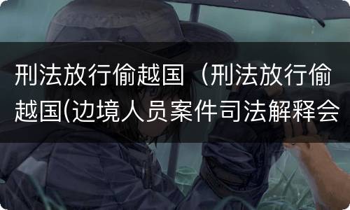 刑法放行偷越国（刑法放行偷越国(边境人员案件司法解释会如何规定）