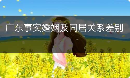 广东事实婚姻及同居关系差别