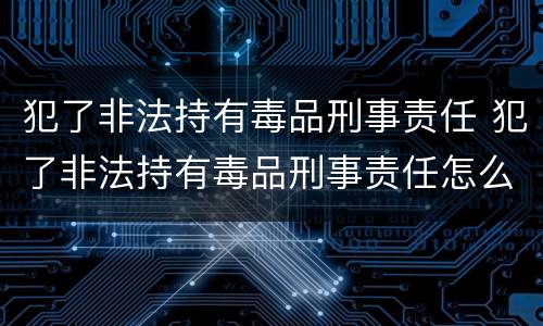犯了非法持有毒品刑事责任 犯了非法持有毒品刑事责任怎么处理