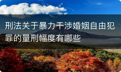 刑法关于暴力干涉婚姻自由犯罪的量刑幅度有哪些