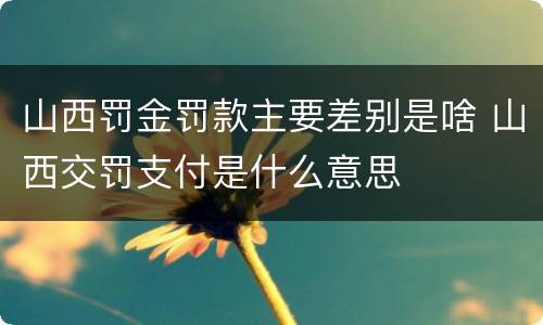 山西罚金罚款主要差别是啥 山西交罚支付是什么意思