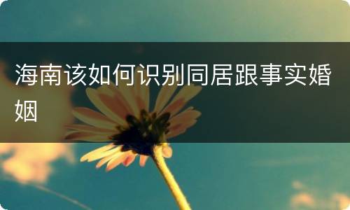 海南该如何识别同居跟事实婚姻