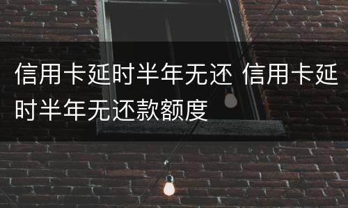 信用卡延时半年无还 信用卡延时半年无还款额度