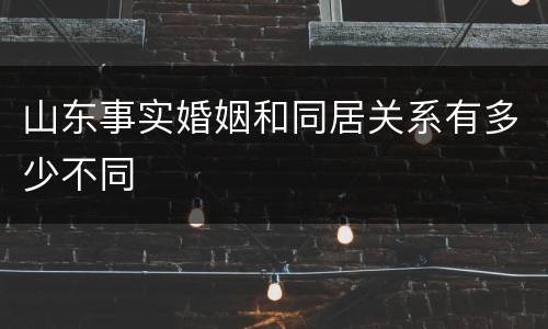 山东事实婚姻和同居关系有多少不同
