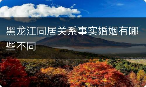 黑龙江同居关系事实婚姻有哪些不同
